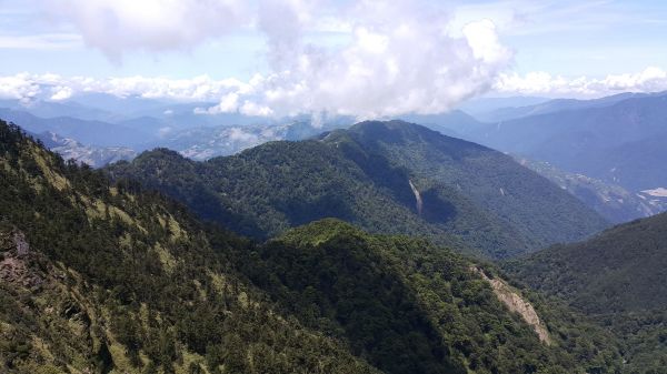 合歡主峰步道 2017 06 06133296