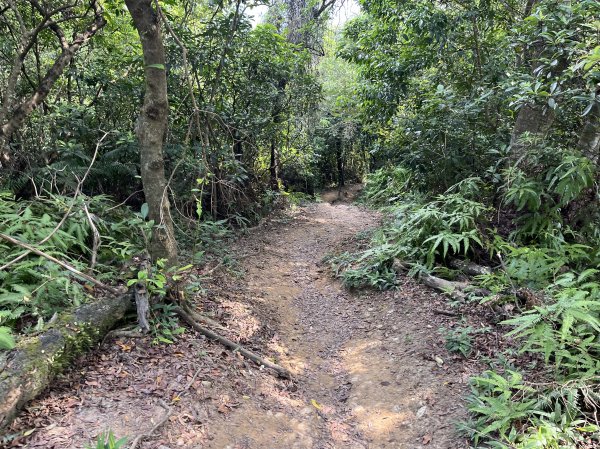 2024_0804 文間山2566402