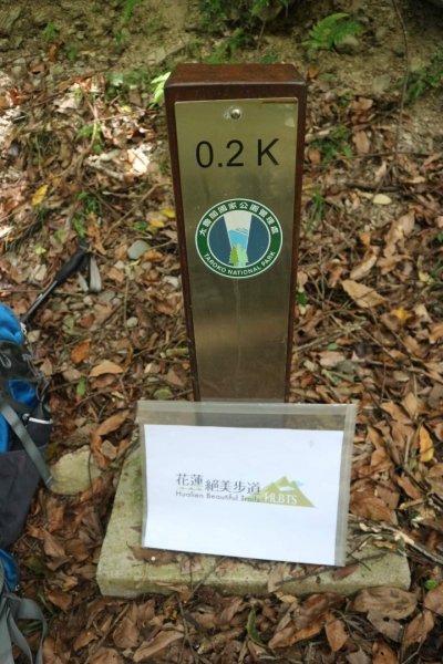 〔花蓮〕布洛灣吊橋+伊達斯步道+環流丘步道。一次走好走滿的布洛灣壯麗景觀步道2266373