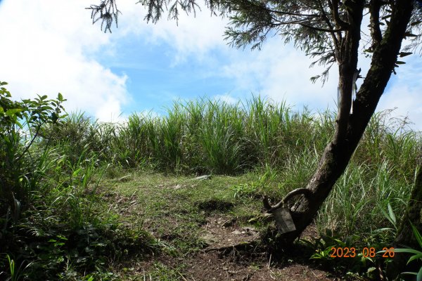 基隆 頂寮山、龍門山、五分山、頂子寮山2265943