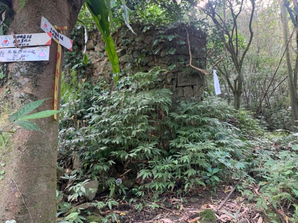 九芎坑山-下九芎坑-獅公髻尾山-人頭面山-南勢坑大尖-小尖山-小尖山前峰-小尖山北峰111.3.151644163