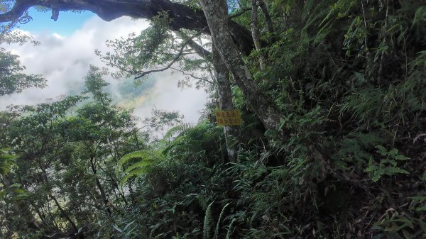 阿里山頂湖三連峰:天福山、芙蓉山、凸龜山2810093
