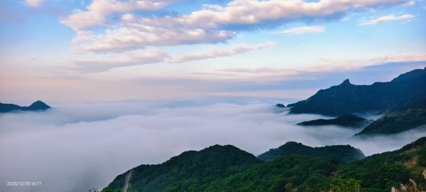 #樹梅坪 #金瓜石 12/102958911