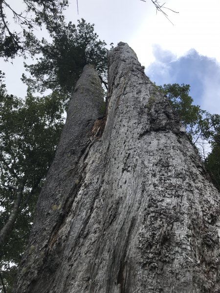 白姑大山糜爛行走起來1464274