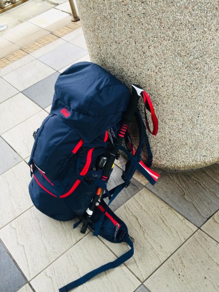 猴子就是愛爬山(奇萊南華)#5.6567205