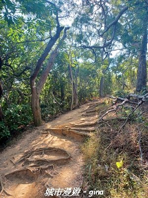 【新竹東區】十八尖山x十八尖山東峰x石家魚丸x東門倆冰糖葫蘆x城隍廟鄭家蛋糕2984204