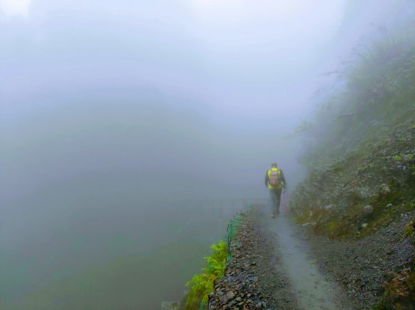 【新竹】觀霧迷幻森林：檜山巨木群步道1111875