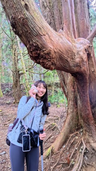 2026/02/08馬崙山3008172