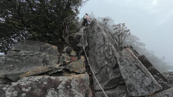 台中 鳶嘴稍來山O繞+稍來神木2989470