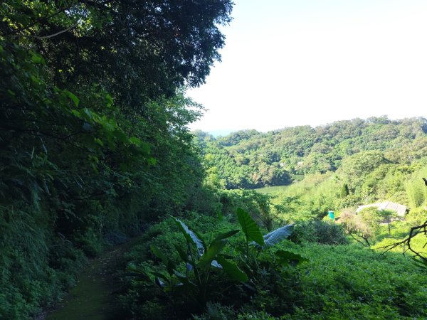寶山水庫環湖步道3081794