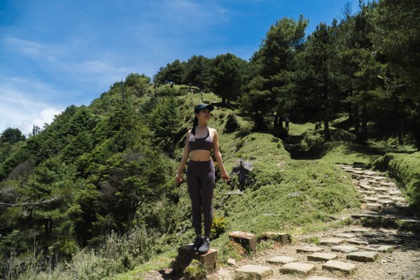 【鹿林山、麟趾山】夏日享受天然冷氣，散步欣賞玉山群峰和阿里山山脈2558787