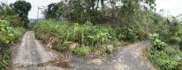 20250129高雄塔羅留山-塔羅留山南峰-他果晏山2705277