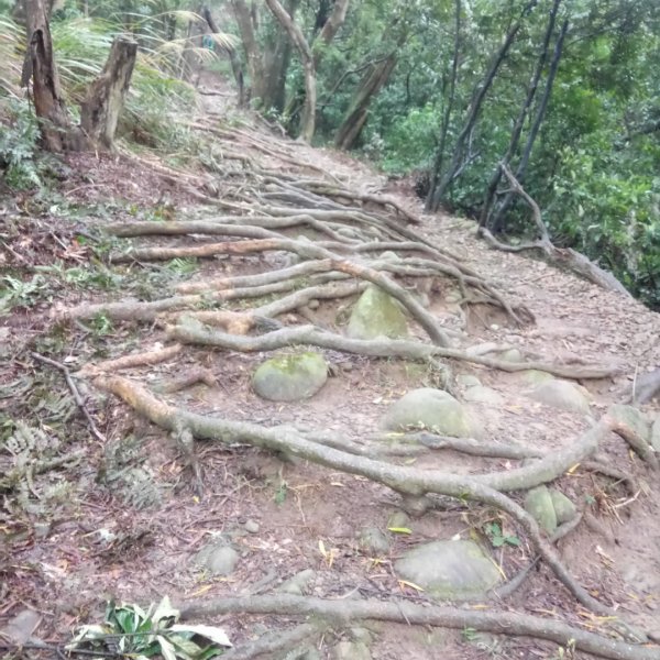 飛鳳山（小百岳）石壁潭山，觀日亭，中坑山501129