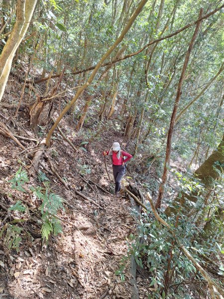 泰安麻必浩林道南坑山O型202502282724666