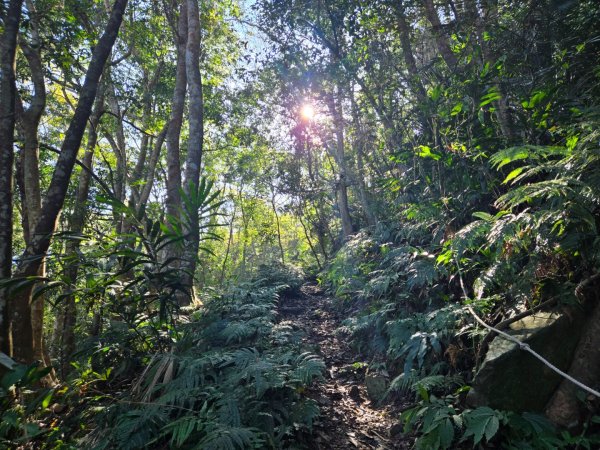 水雲三星～上島山（鳥嘴山）2931232