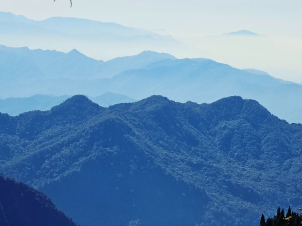 稍來山賞楓2962559