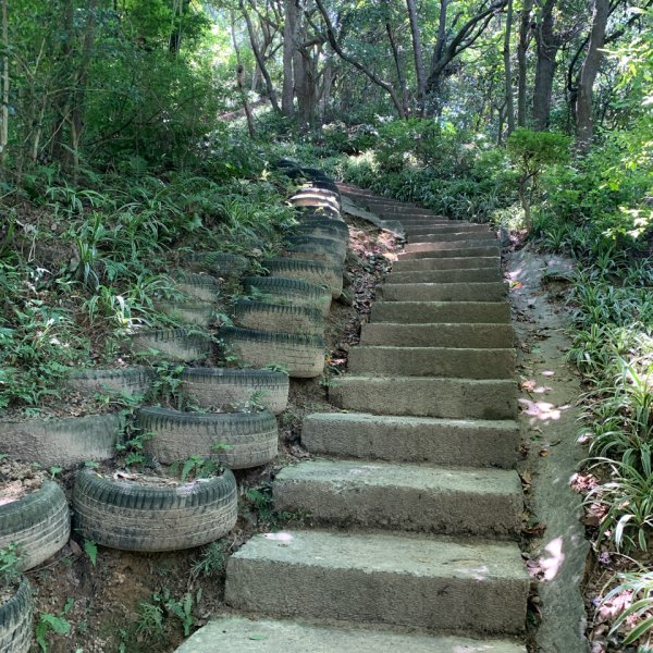 20260531大棟山、青龍嶺、大同山步道3067103