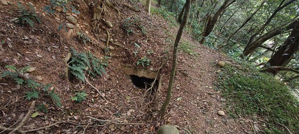 2026/03/21-貴山客家文化公園3023181