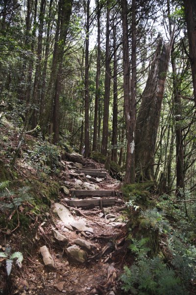 八仙山-夏日避暑好所在631697