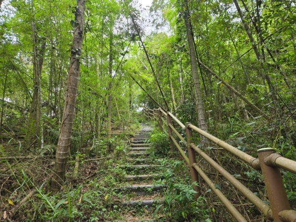獨立山、觀音石山、阿拔泉山O繞3059984
