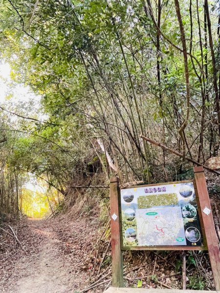 1141207金童山2957738