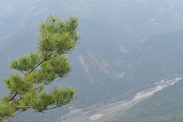 谷關七雄-白毛山2888234