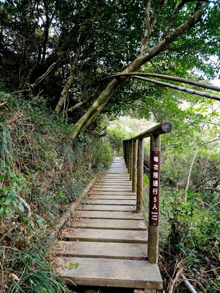 里龍山-小百岳#69-屏東縣獅子鄉2750517