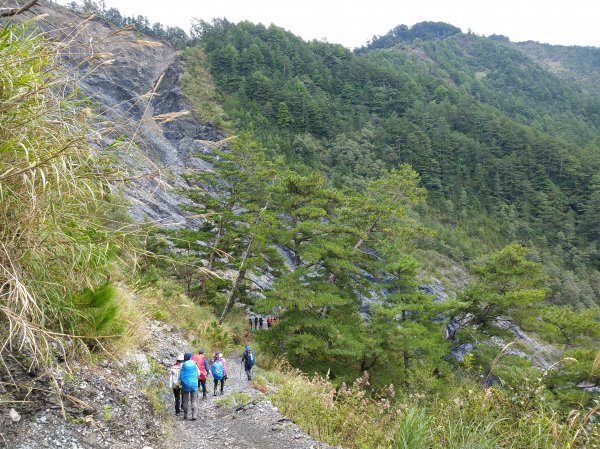 奇萊南華百岳之旅442351