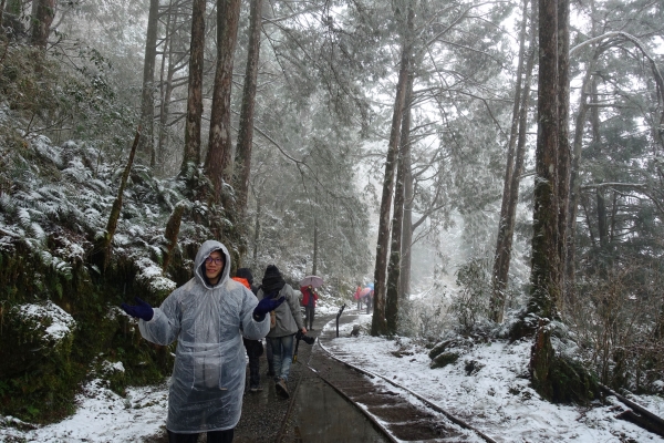 下雪。見晴懷古步道2018.02.03263917