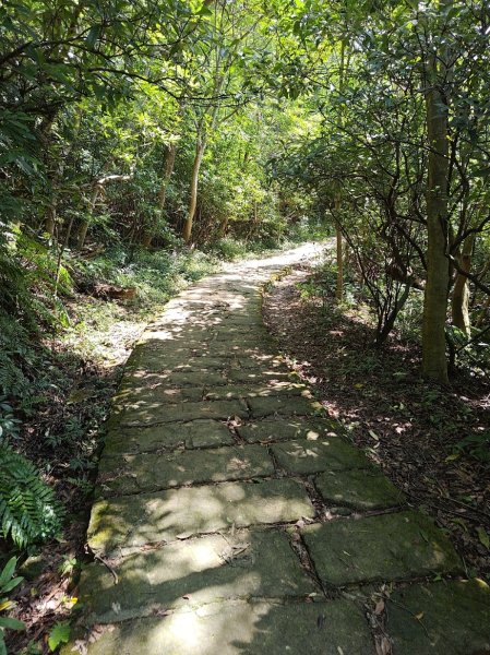 台北大縱走第五段 捷運劍潭站至碧山巖2800510