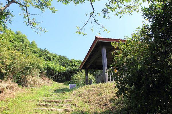 瑞芳南子吝登山步道204887