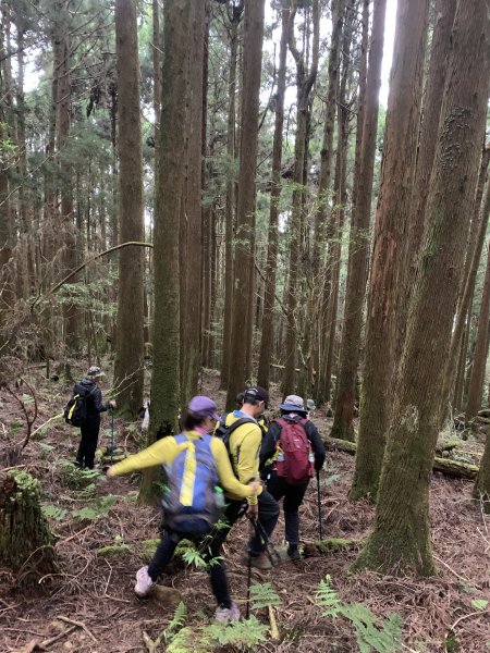 20250517義義兒玉山-東水山2791718