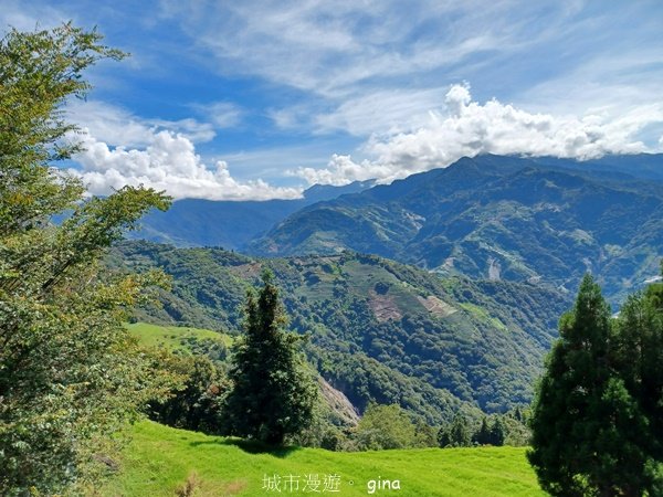 【南投仁愛】離天空最近的絕美步道。 清境高空觀景步道2647675