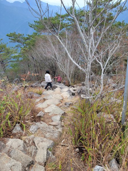 2026-0201-東卯山3013026