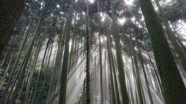 蓮包山-外鳥嘴山-鴛鴦谷瀑布O型1129267