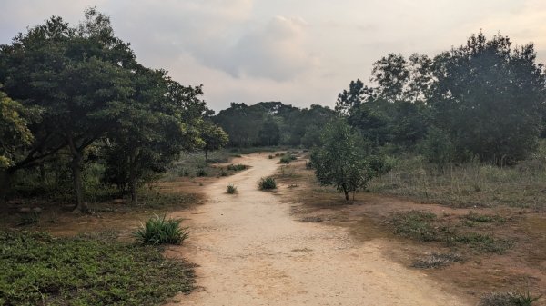 福人登山步道2069897