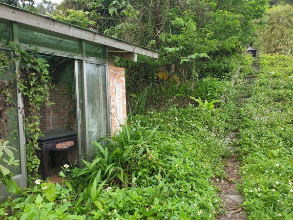 人生之中有點可怕的登山行程......玉女山、金童山及汶水山1552801