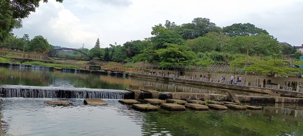 20230610_牛欄河河濱步道2178361