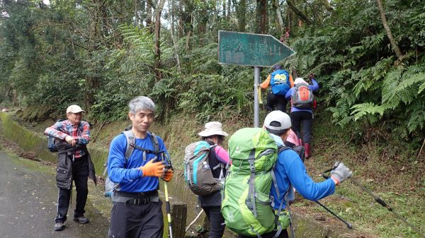  傑士嶺-伏獅山-九芎坑山古道O型連走178968