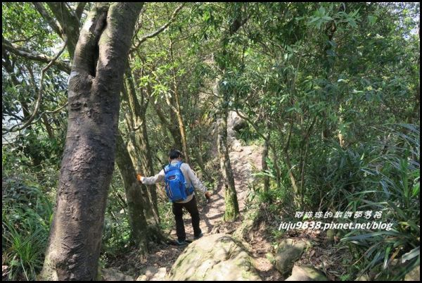 皇帝殿登山步道149900