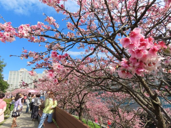 ［樂活公園］（台北市東湖）（2024/2/1）2420579