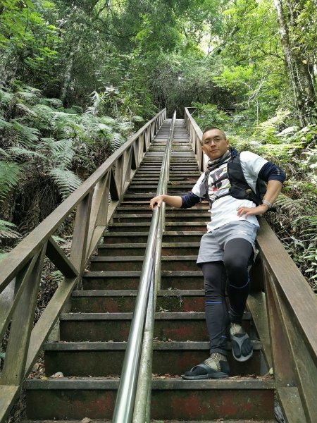 梨山賓館生態環保步道-陡階梯及特色瓦片道1049447