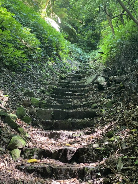 2024/09/16 天母古道（水管路） 紗帽山2884408