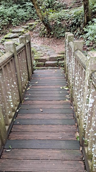 台北大縱走第一段1249211