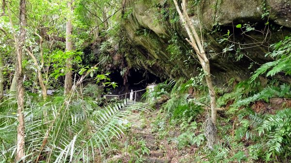 樹梅古道,不二法門2240016