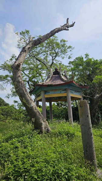 20250625遠望坑口-遠望坑崙-176峰-陸軍路礦864-遠望坑山O型2826156