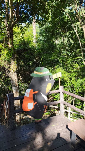 谷關休閒走2897456