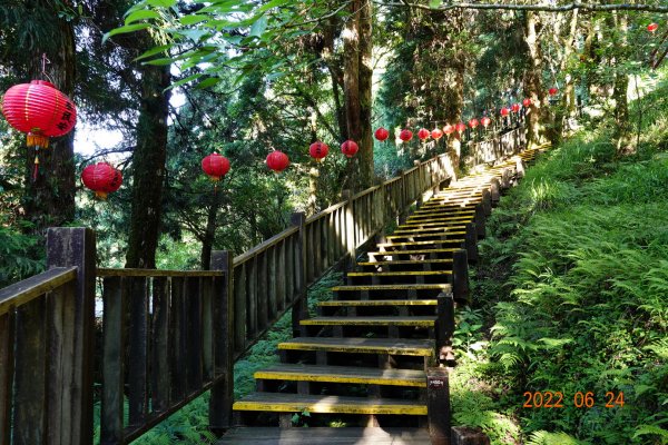 宜蘭 大同 太平山森林遊樂區1743639