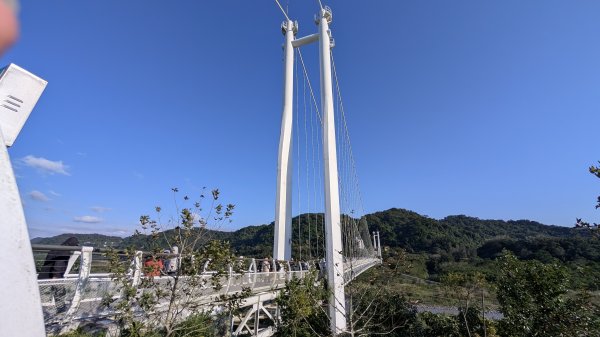 115.01.03山水步道-中庄吊橋-月眉落羽松之旅2977071