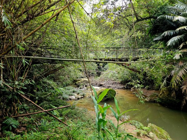 四寮溪生態步道-2025森遊竹縣皮皮獅探險隊2889106